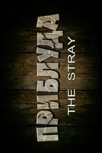 The Stray movie poster - Entertainment content