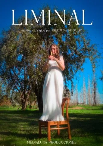 Liminal movie poster - Entertainment content