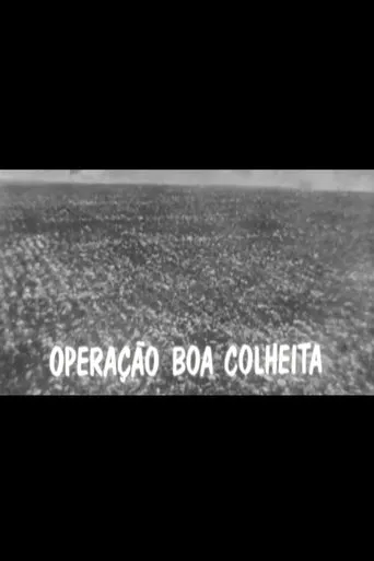 Operação Boa Colheita movie poster - Entertainment content