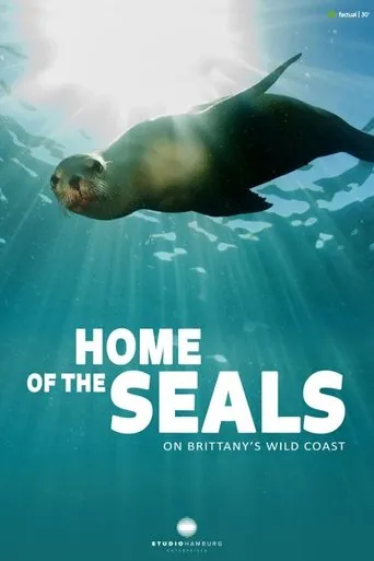 Home of the seals: On Brittanny's wild coast movie poster - Entertainment content