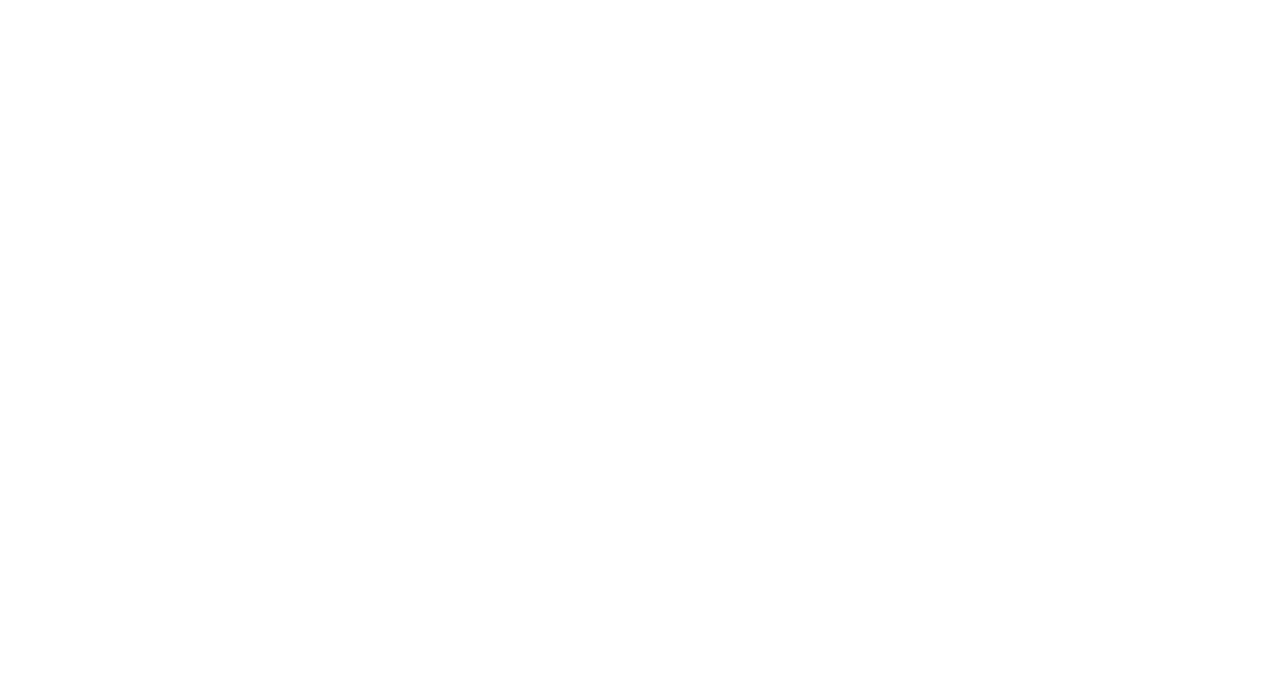 Everyone's Hero