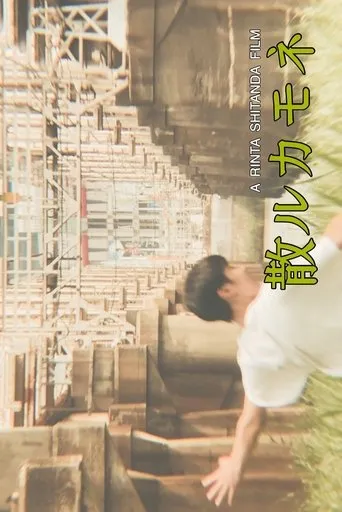散ルカモネ movie poster - Entertainment content