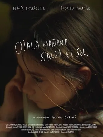 Ojalá mañana salga el sol movie poster - Entertainment content