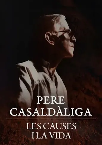 Pere Casaldàliga. Les causes i la vida movie poster - Entertainment content