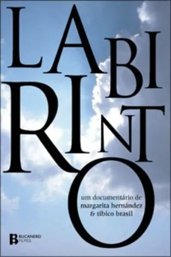 Labirinto movie poster - Entertainment content