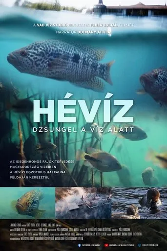 Hévíz − Dzsungel a víz alatt movie poster - Entertainment content