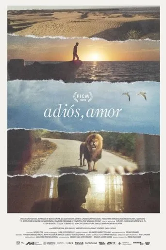 Goodbye, Love movie poster - Entertainment content