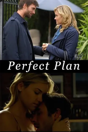 Perfect Plan movie poster - Rated 6/10
