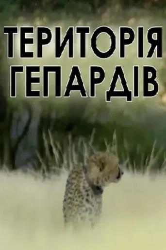 Man, Cheetah, Wild movie poster - Rated 8/10