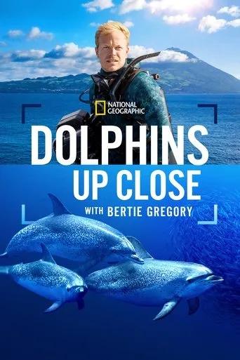 Dolphins Up Close with Bertie Gregory movie poster - Rated 6.8/10