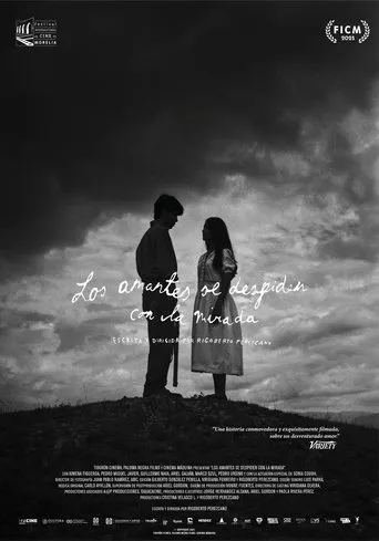 Los amantes se despiden con la mirada movie poster - Entertainment content