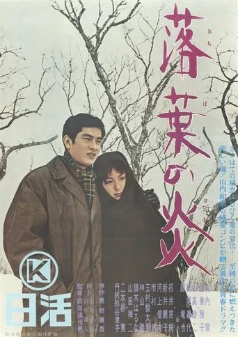 Ochiba no honō movie poster - Entertainment content