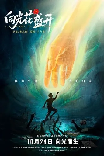 向光花盛开 movie poster - Entertainment content
