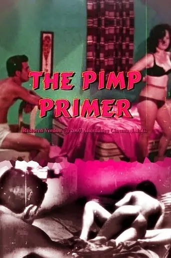 The Pimp Primer movie poster - Rated 2.7/10