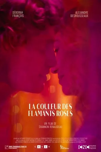 La couleur des flamants roses movie poster - Entertainment content