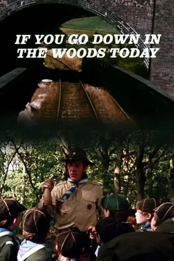 If You Go Down in the Woods Today movie poster - Rated 4.5/10