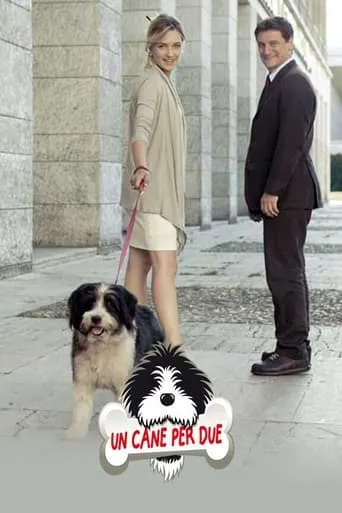 Un cane per due movie poster - Rated 5.8/10
