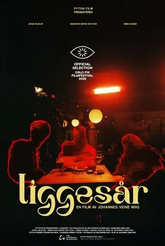 Liggesår movie poster - Entertainment content