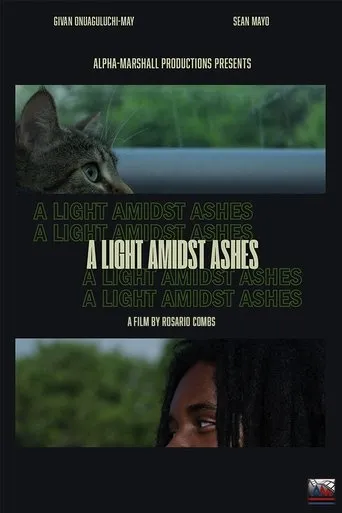 A Light Amidst Ashes movie poster - Entertainment content