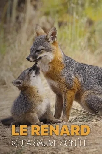 Le renard qui a sauvé son île movie poster - Rated 8/10