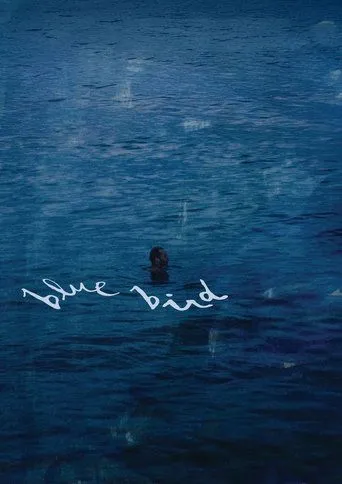 Blue Bird movie poster - Entertainment content