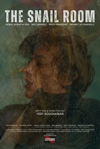The Snail Room movie poster - Entertainment content