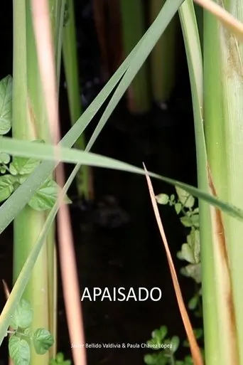 Apaisado movie poster - Entertainment content