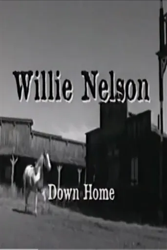 Willie Nelson: Down Home movie poster - Entertainment content