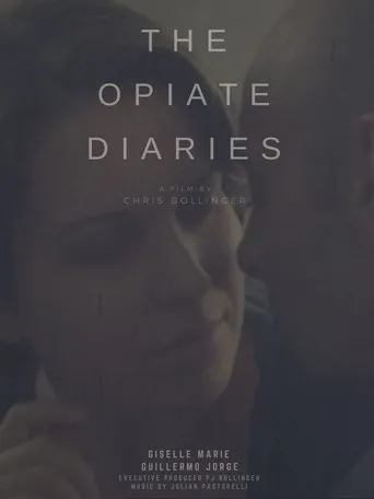 The Opiate Diaries movie poster - Entertainment content