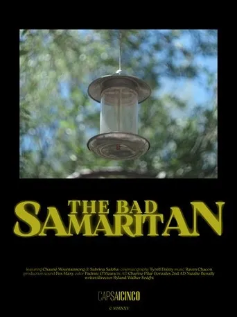 The Bad Samaritan movie poster - Entertainment content