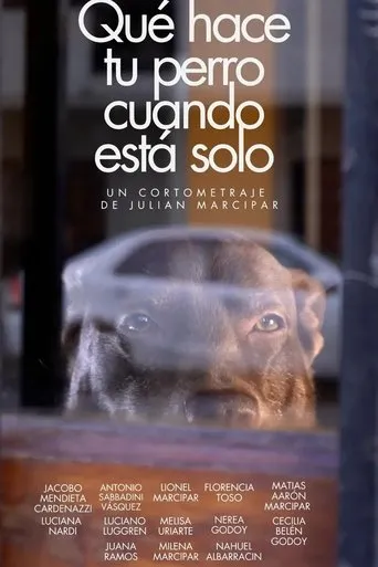 Qué hace tu perro cuando está solo movie poster - Entertainment content