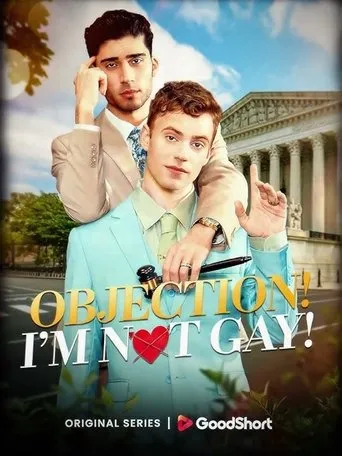 Objection! I'm Not Gay! movie poster - Entertainment content
