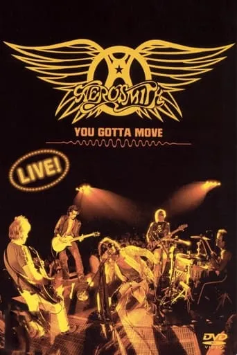 Aerosmith - You Gotta Move movie poster - Rated 6/10