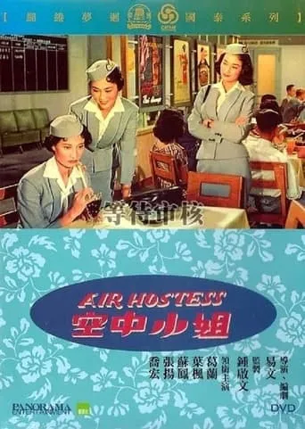 Air Hostess movie poster - Rated 4.8/10