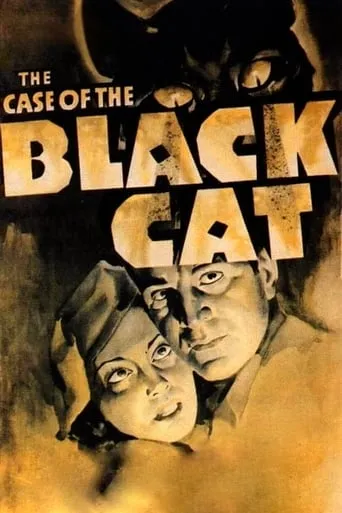 The Case of the Black Cat movie poster - Rated 6.6/10