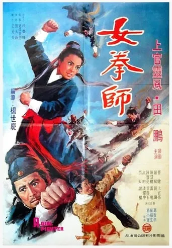 A Girl Fighter movie poster - Rated 7/10
