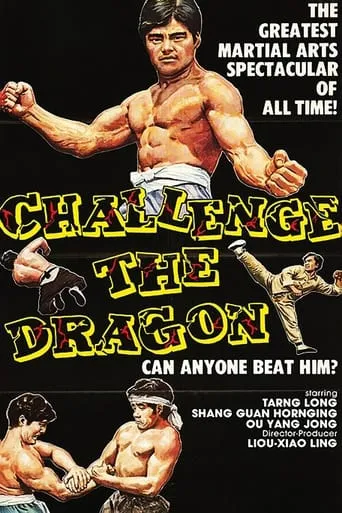 The Way of the Tiger movie poster - Rated 6.5/10