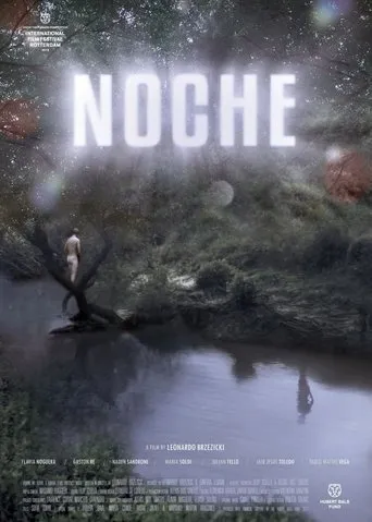 Night movie poster - Rated 4.5/10