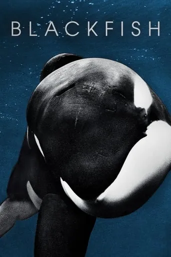 Blackfish movie poster - Rated 7.862/10