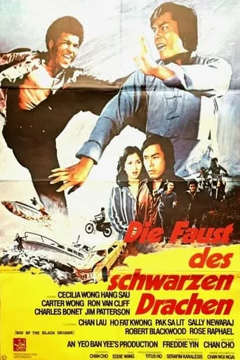 Way of the Black Dragon movie poster - Rated 6/10