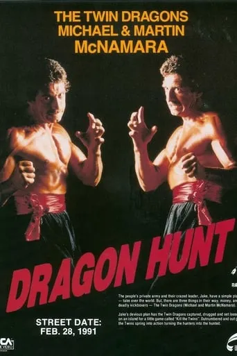 Dragon Hunt movie poster - Rated 4.1/10