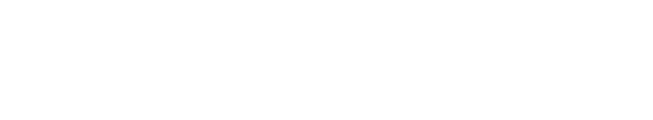 The Recruit