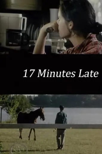17 Minutes Late movie poster - Rated 7.9/10