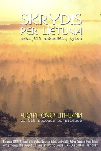 Flight Over Lithuania or 510 Seconds of Silence movie poster - Rated 7.5/10