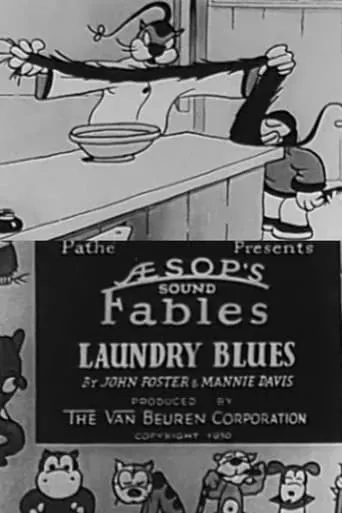 Laundry Blues movie poster - Rated 2.3/10