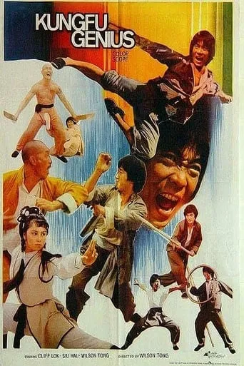 Kung Fu Genius movie poster - Rated 6/10