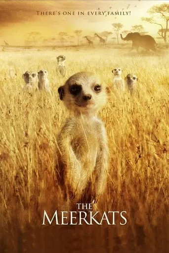 The Meerkats movie poster - Rated 6.7/10