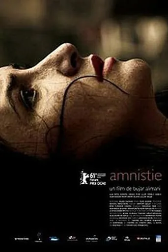 Amnesty movie poster - Rated 5.6/10