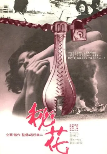 Secret Flower movie poster - Rated 4.3/10