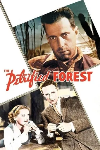 The Petrified Forest movie poster - Rated 7.063/10